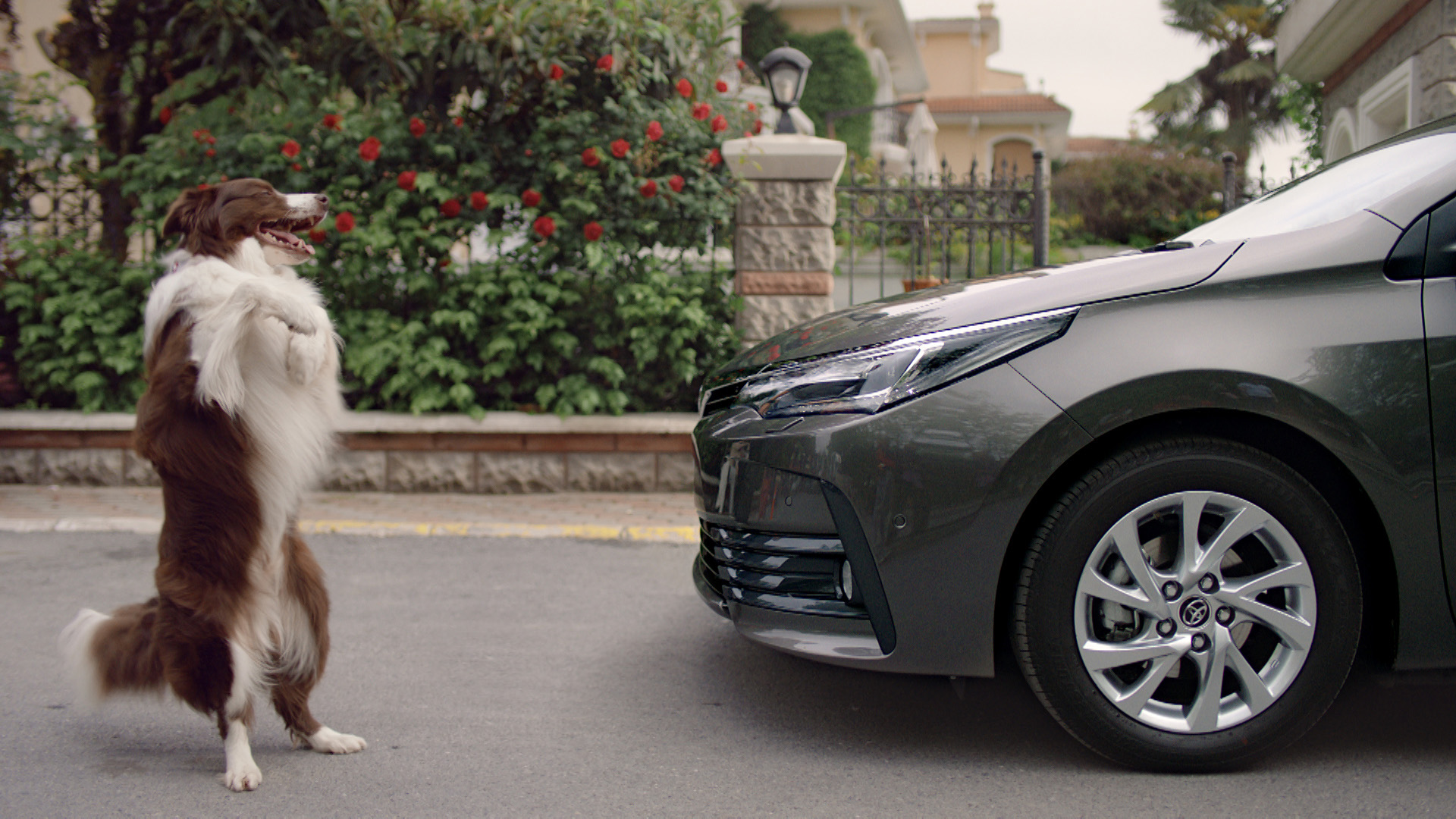 Toyota Corolla filmi Türkiye'de çekildi