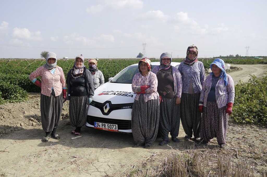 Lassa tarıma destek projesi ile Bursa'da