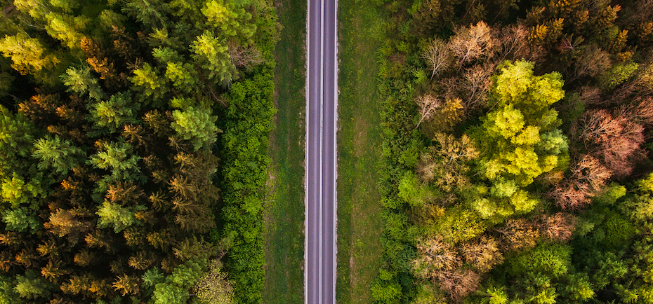 LeasePlan Türkiye’den Sıfır Emisyon İçin Örnek Adım!