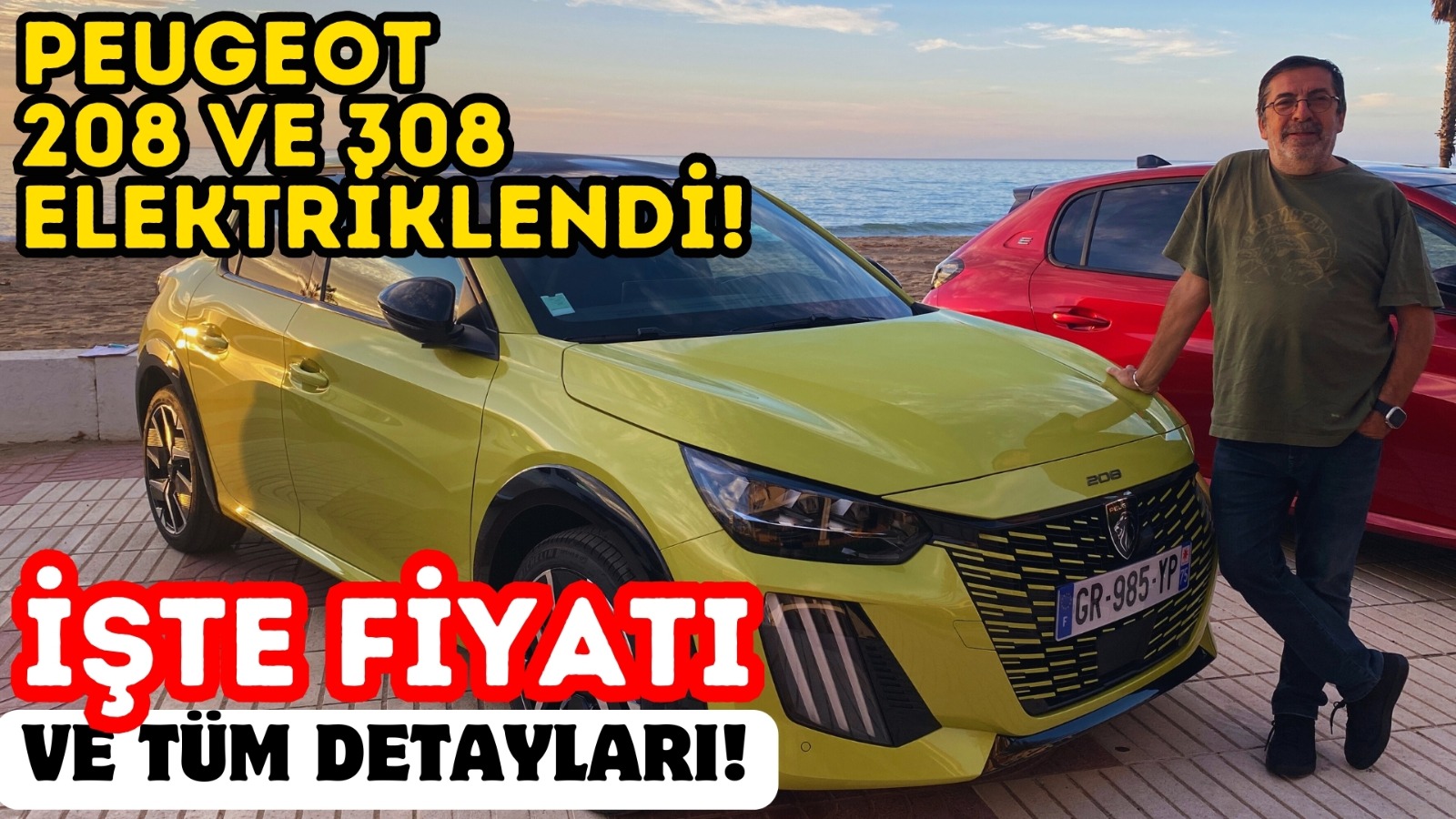 Peugeot E- 208 ve E-308