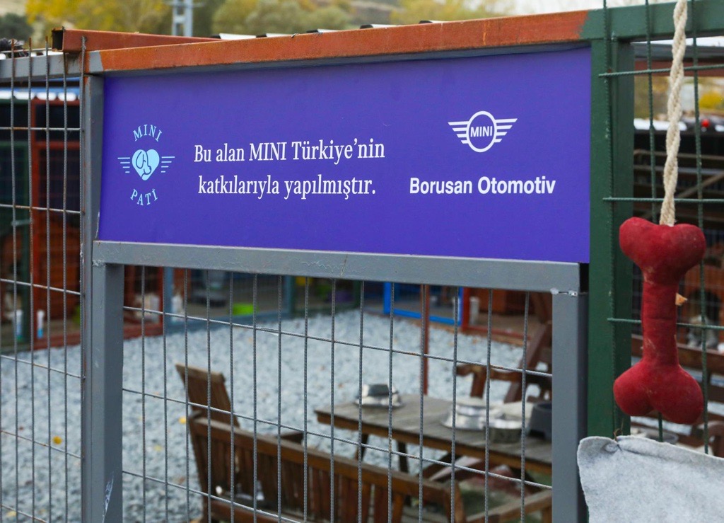 MINI'den MINI Pati projesi ile sokak hayvanlarına destek