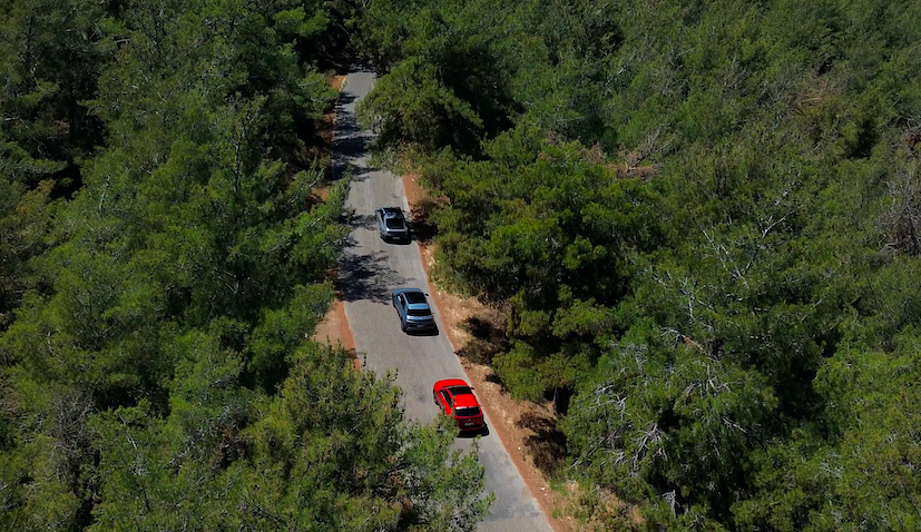 Hyundai, IONIQ Ormanı Projesi ile 1 Milyon Ağaç Dikti.